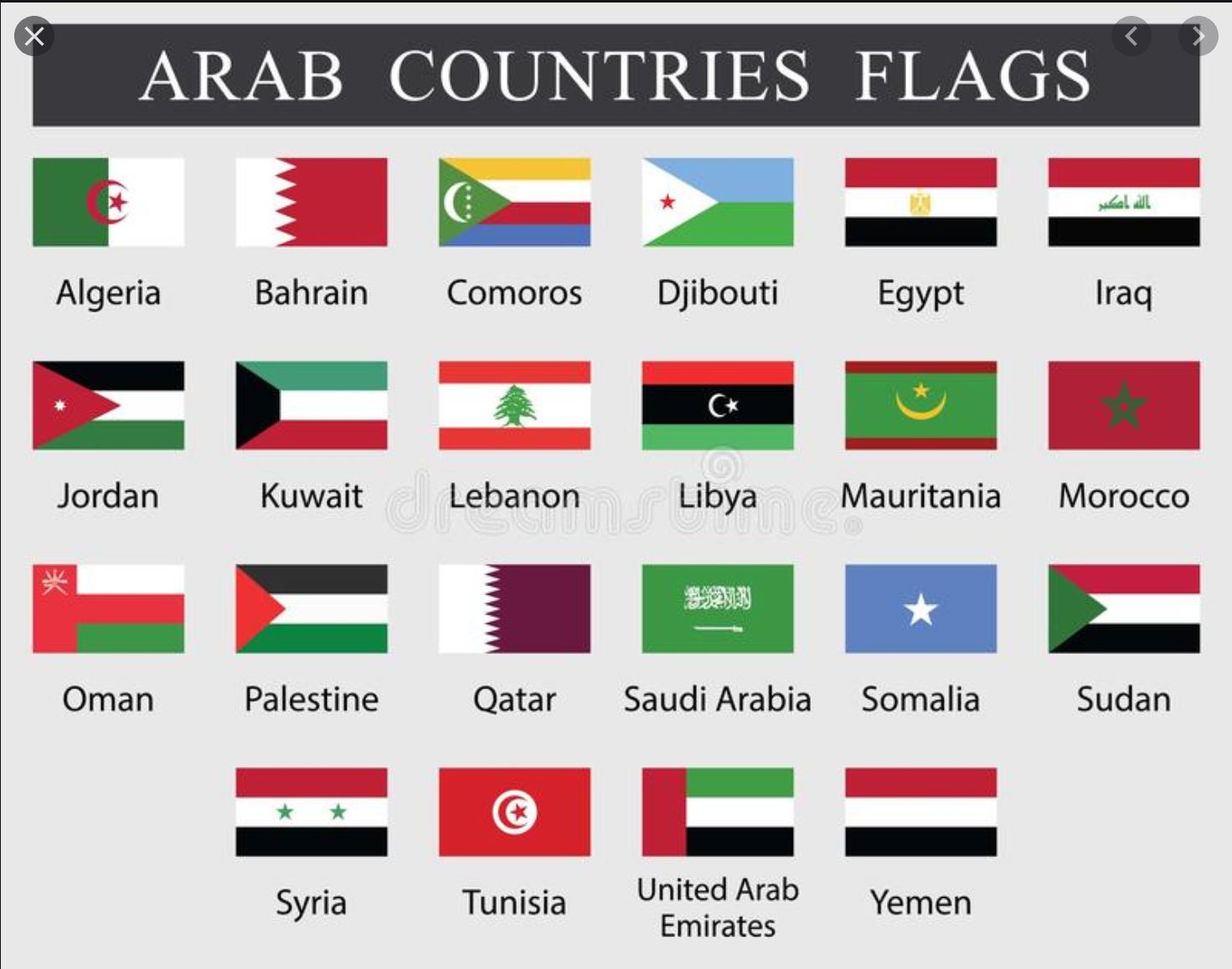 arab flags.PNG