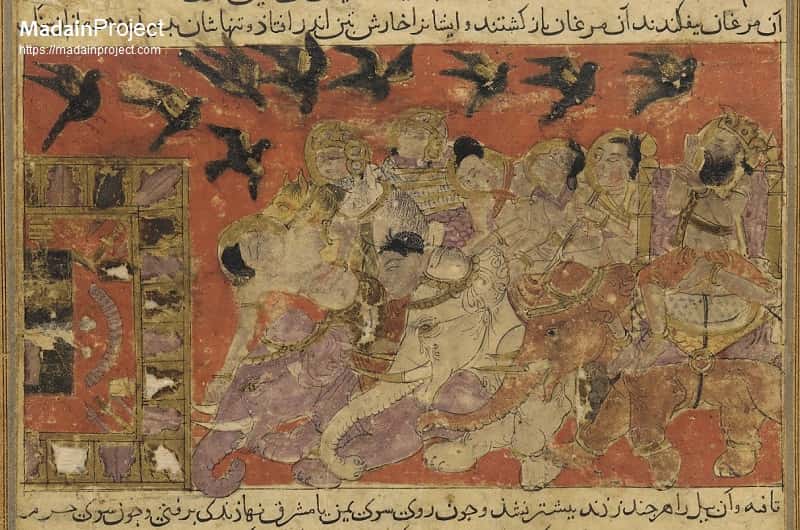 Ashab_alfil_3782.jpg