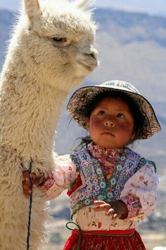b079683599c5ee099faa6ada6603e863--llamas-peru.jpg