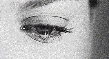 B38AE86C-A6F6-43DE-9C4D-4D68E1B3E7D3.gif