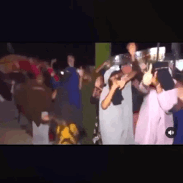 B46738C5-EF11-465C-A565-50B611E7A866.gif
