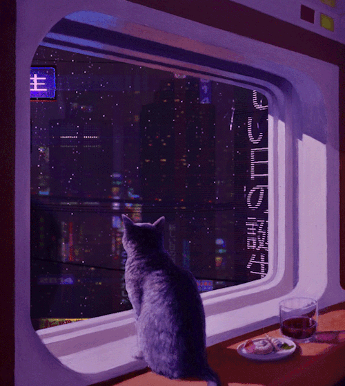B5DB14CD-B8E9-4114-A680-D4463E0EB815-483-00000081AD42BBD7.gif
