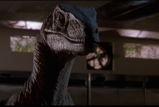 B814FED7-8AE9-43BB-986E-295244004263.gif