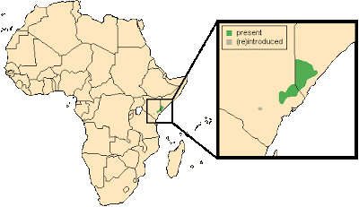 B_hunteri_map.gif