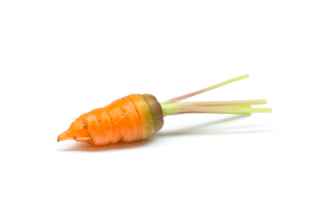 baby_carrot.jpg