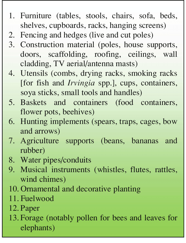 Bamboo-products-produced-in-Cameroon.png