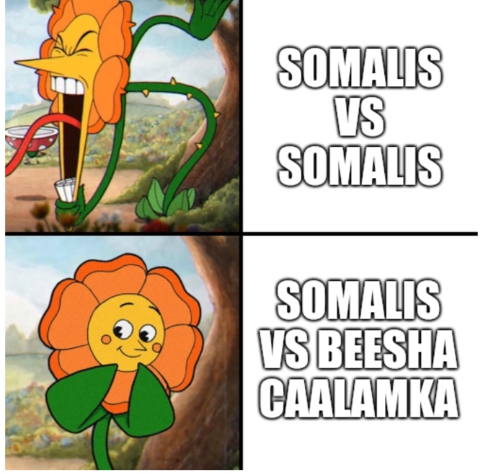beel.jpg