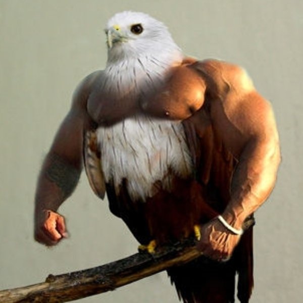 BirdsWithArms01.jpg