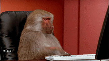 BleakHarmfulCopperbutterfly-size_restricted.gif