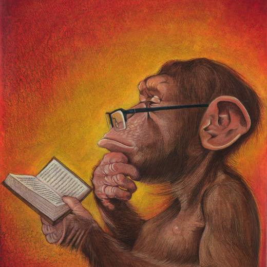 Book-Monkey-web-520x520 (1).jpg