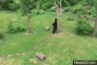 C0B7FA2E-DAAD-4271-8695-9FCD1AE42C0E-256-0000000FCD45E9E0_tmp.gif