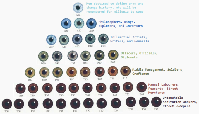 C417486F-6404-48F8-AC50-D431B241884B.png