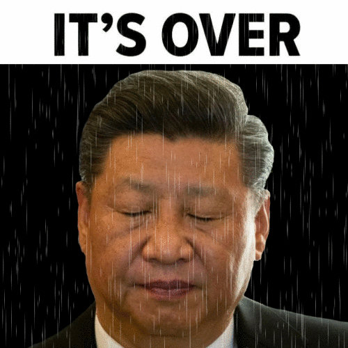 C81CA2A6-1F19-4579-89D8-83F129A72E69.gif