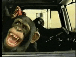 C8833D02-5C24-46AF-AE6B-FCC29E8901D5.gif