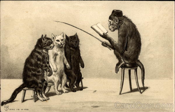 card00896_fr.jpg