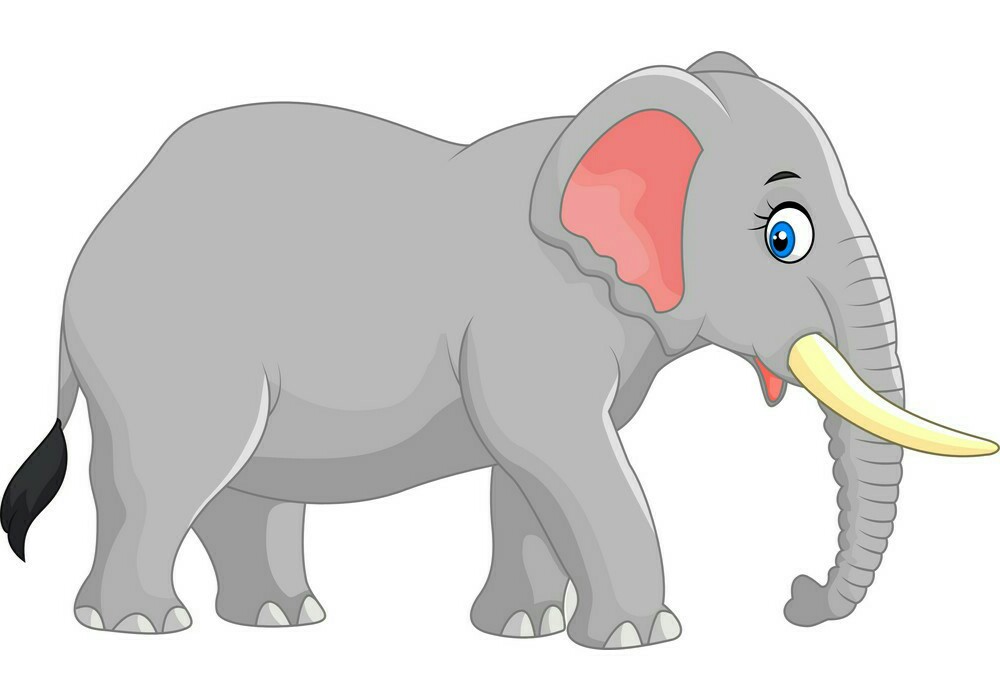 cartoon-cute-elephant-vector-5617695~01~01.jpg