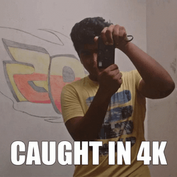 caught-in-4k-camera-pcbxoxob77m54z2x.gif