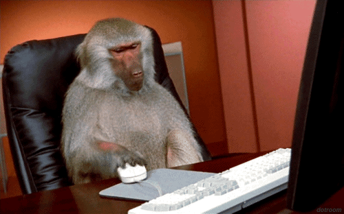 CE079DC7-14B5-42F8-B4F6-D2F916F082B1.gif