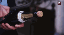 champagne-drinks.gif