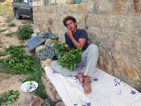 Chewing Qat in Yemen 5-M.jpg