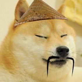 chinese doge.jpg