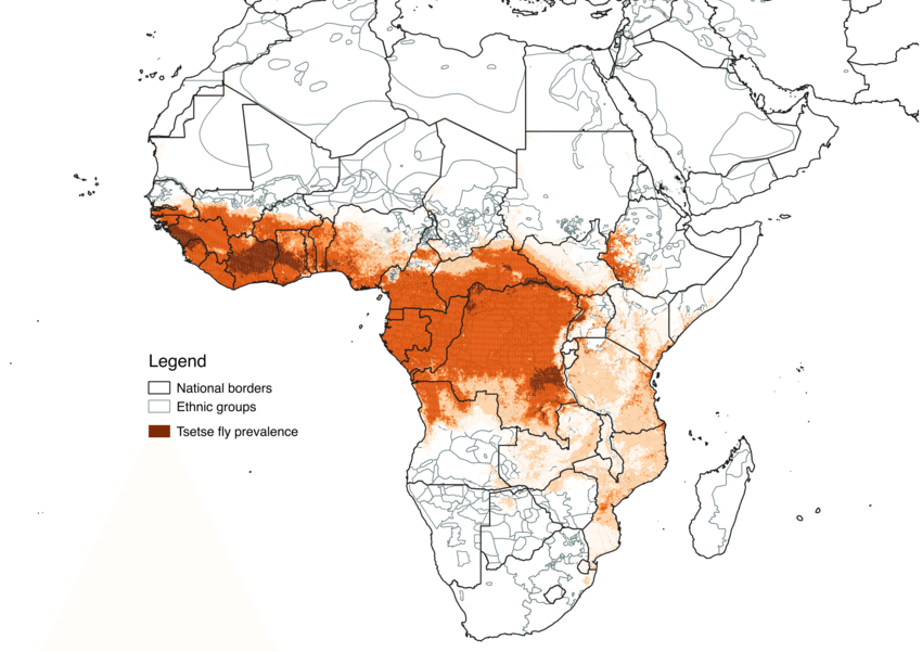 Contemporary-distribution-of-the-tsetse-fly.png