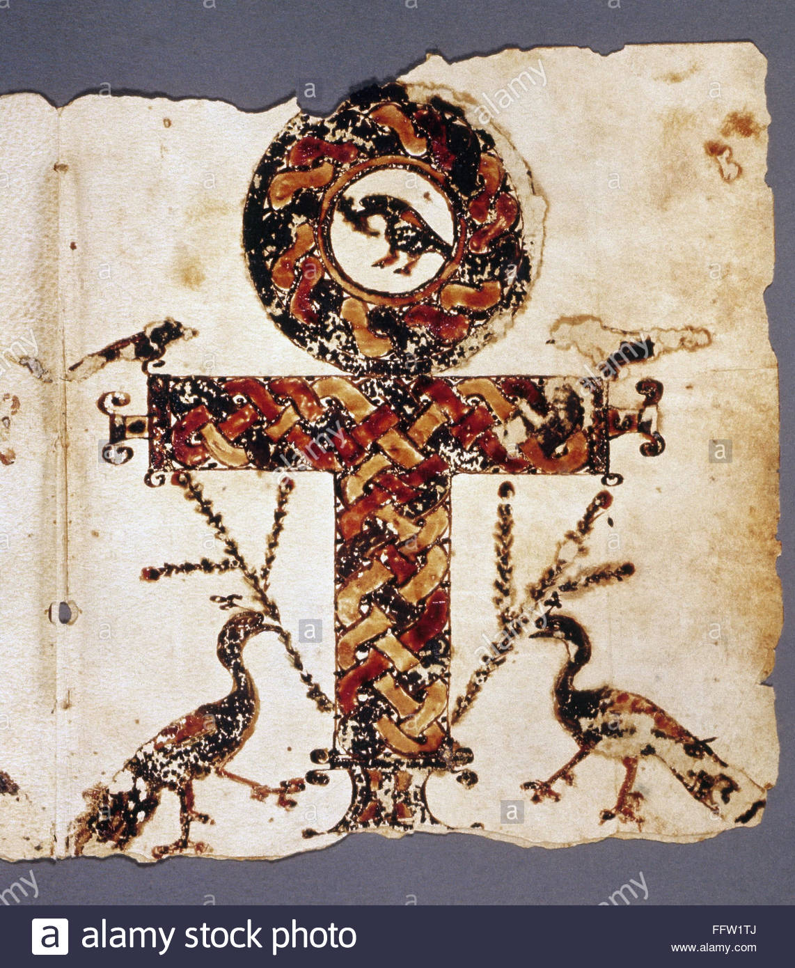 coptic-cross-nansate-cross-with-birds-illumination-on-vellum-from-FFW1TJ.jpg