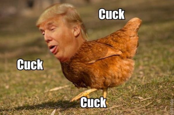 cuckchick.jpg