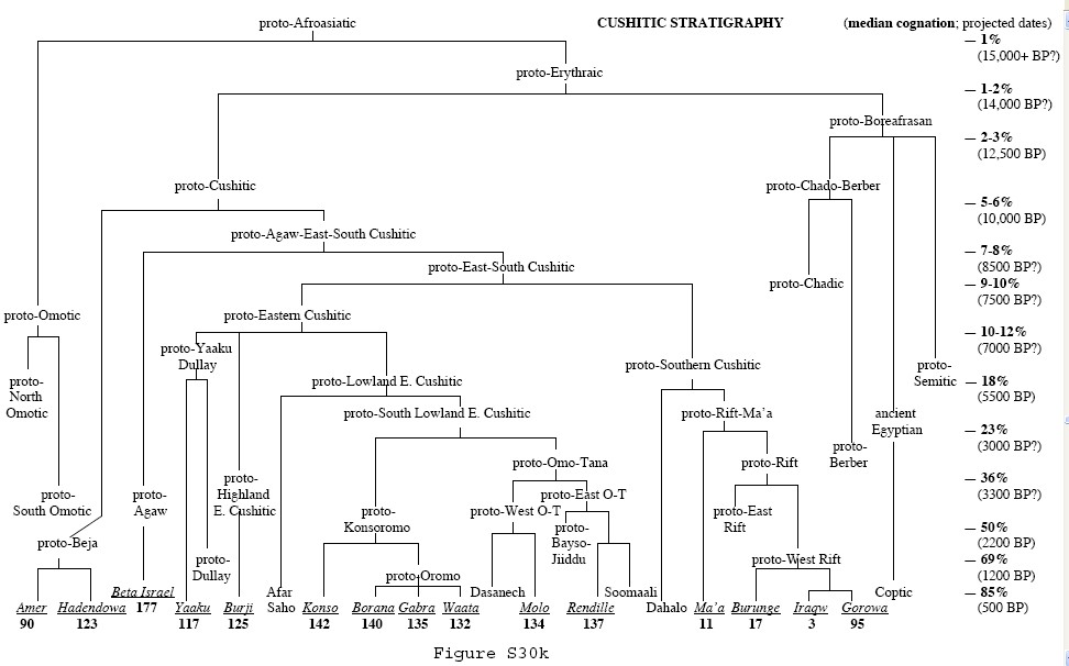 Cushitic stratigraphy.jpg