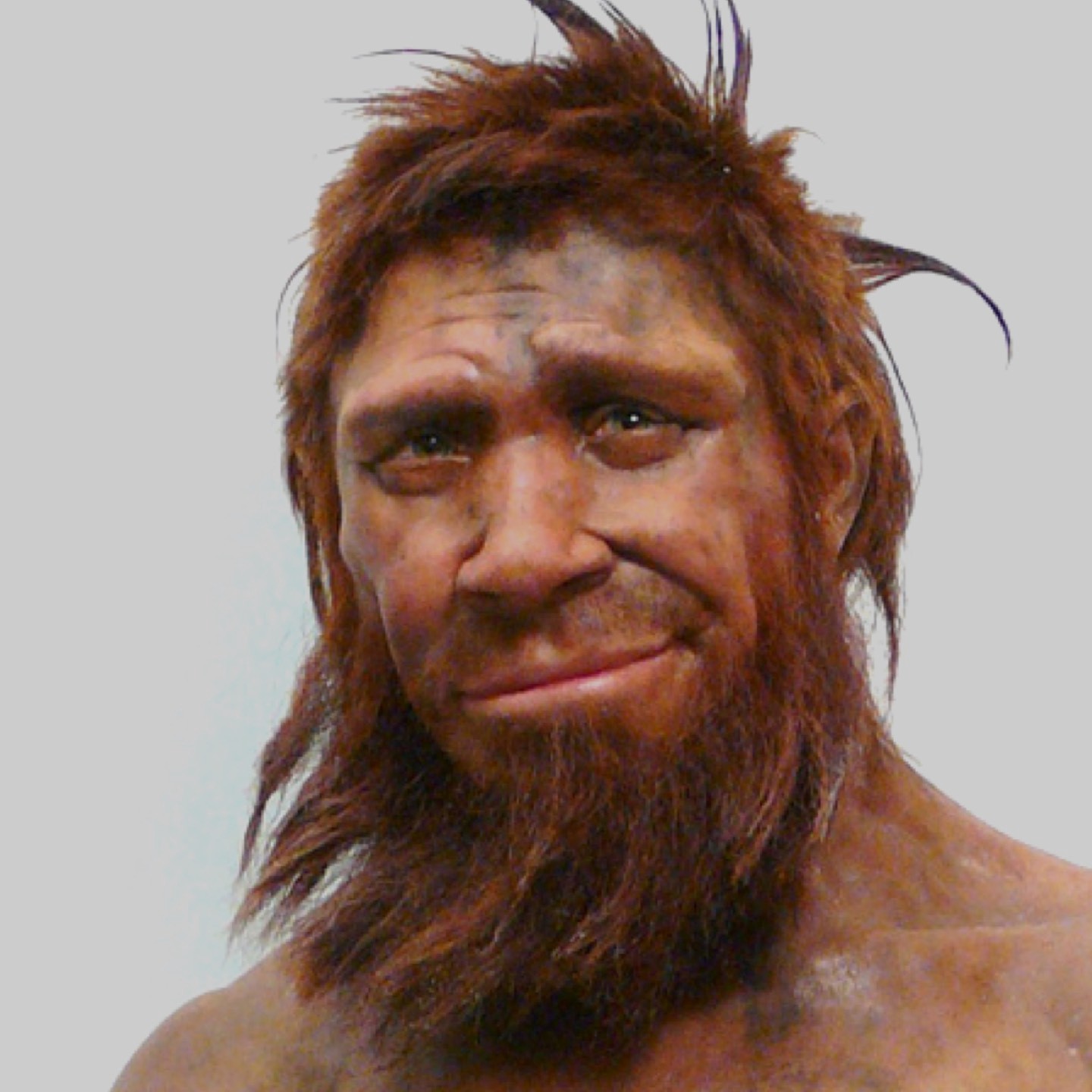 D01E2572-40BC-4034-B1DF-600F5E12D588.jpeg