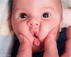 D033ED2C-6CB3-4A26-BBDB-C40C84EE248D.gif