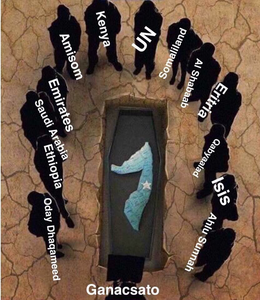D4tIuQ2W0AAnyXD.jpeg.jpg