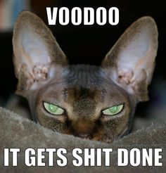 d67c53fabc1df8ffdf28de101ee9b7da--voodoo-hoodoo-cute-little-animals.jpg