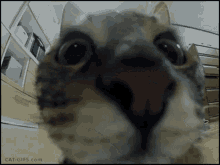 D80DA37D-07CB-45D5-8D91-933AAEBA5802.gif