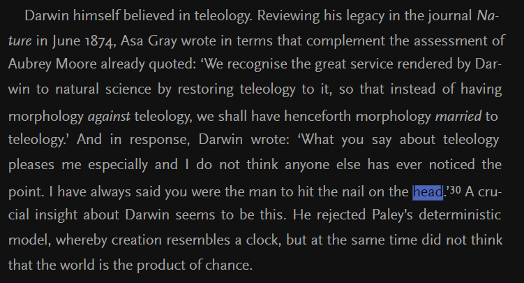 Darwin_Naill_On_The_Head.png