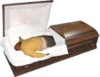 deaddd.png