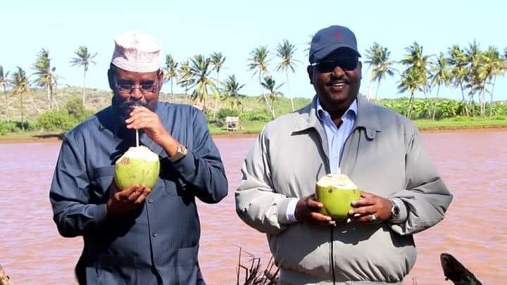 deni madoobe.jpeg