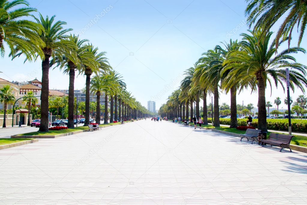 depositphotos_6952306-stockafbeelding-beach-boulevard-in-salou-met.jpg