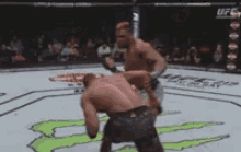 DFF2D944-4C95-4843-8C54-E1F23D85D439.gif
