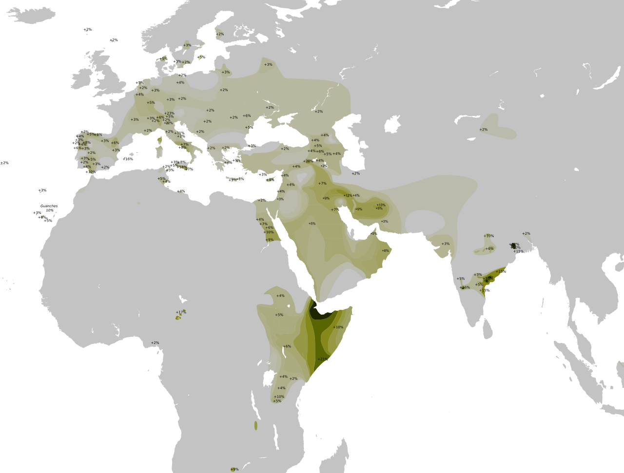 Distribution_Haplogroup_T_Y-DNA_II (1).png