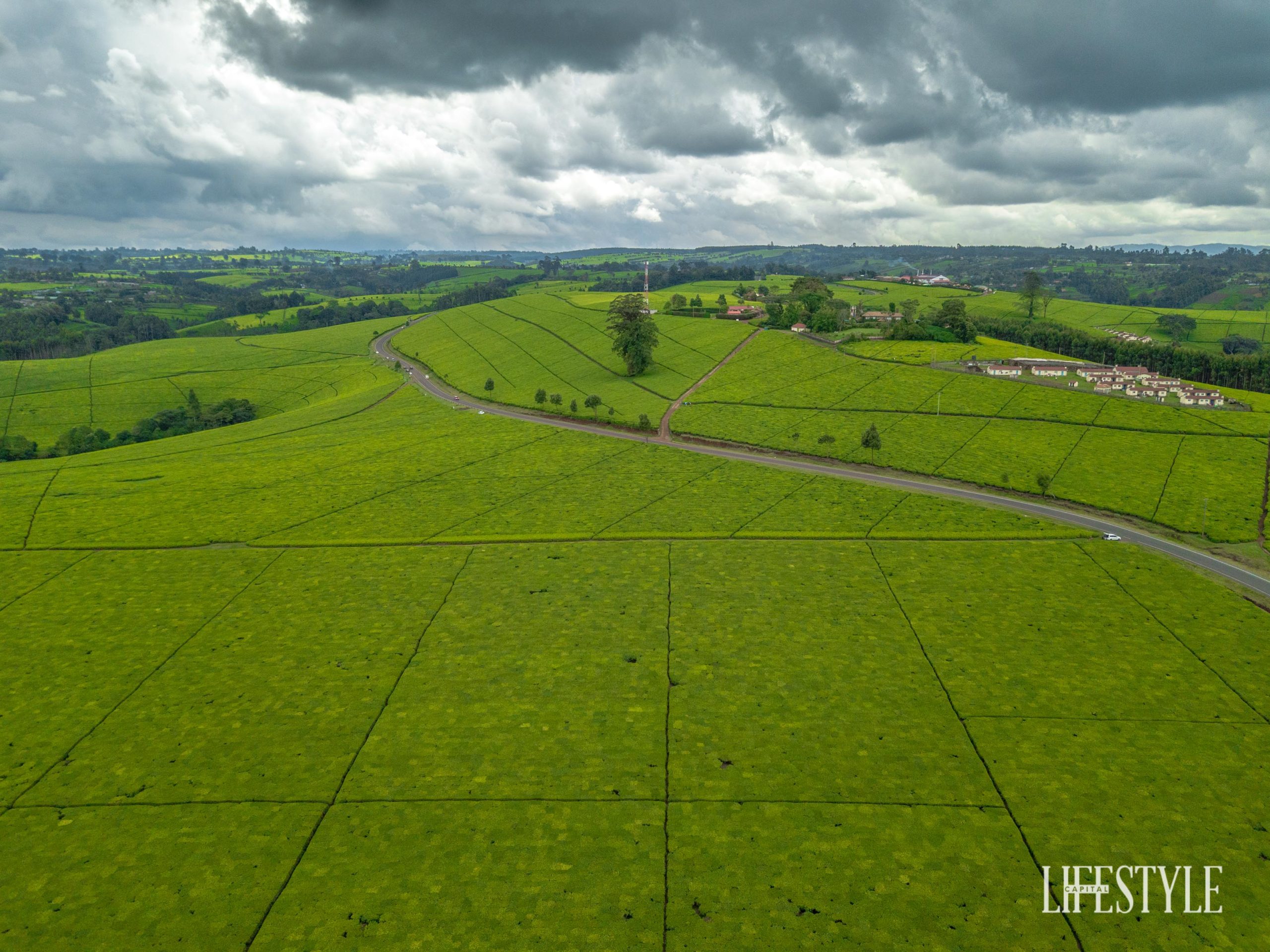 DJI_0541-scaled.jpg