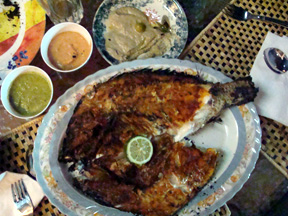 Djibouti-Fish.jpg