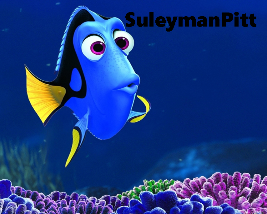 dori.png