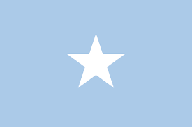 download (1).png