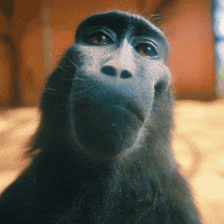 download.gif