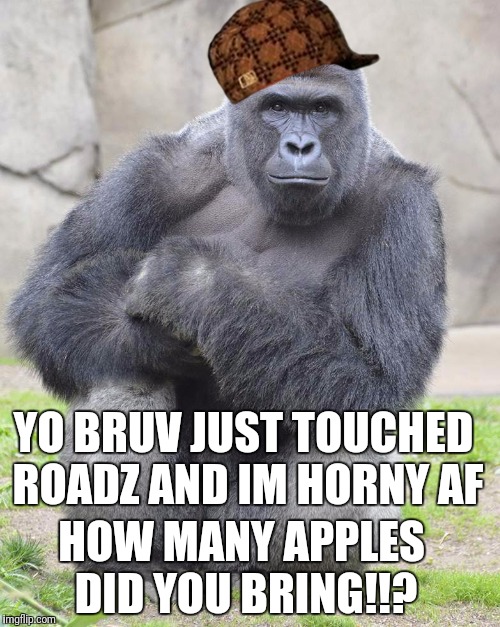 download.jpg