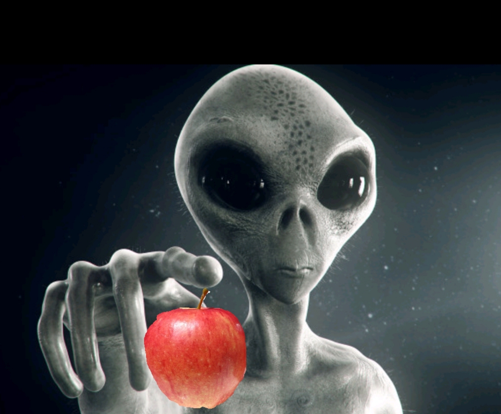 downloadfile-28.jpg