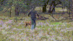 downloadfile-3.gif
