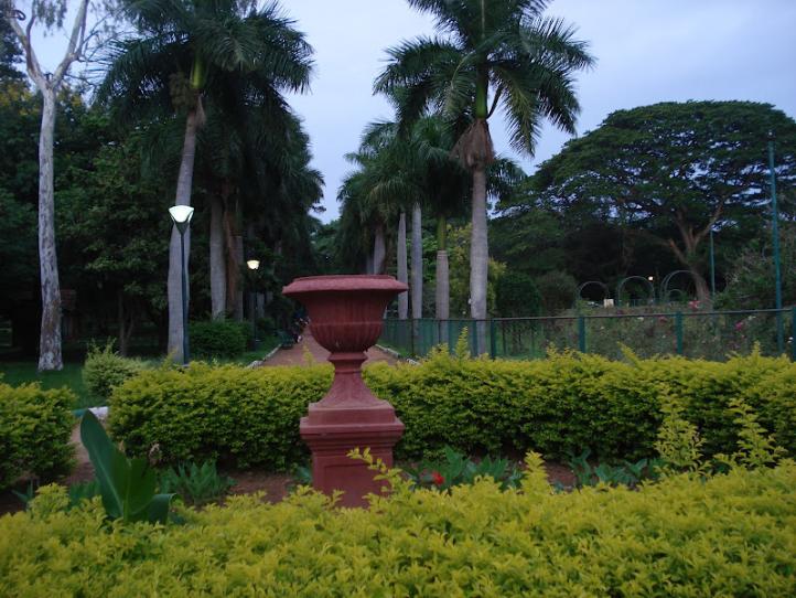 DSC04764.JPG.opt722x542o0,0s722x542.JPG