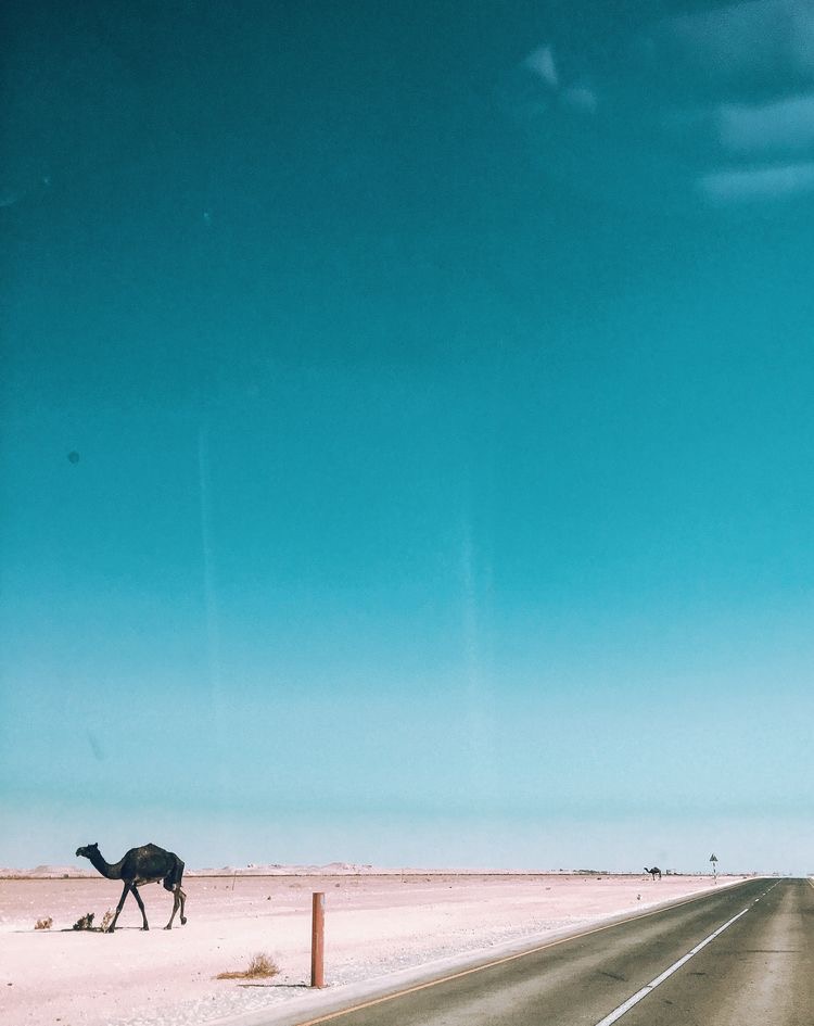 E21B53F5-9B7D-4BA3-8E90-F7CE2AAEFDF6.jpeg